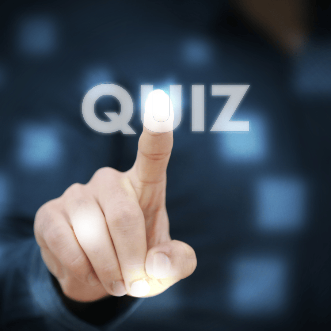 
                          Quiz Final
                        