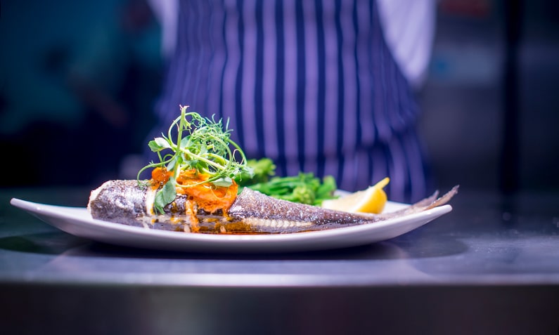
                                        Restaurant Food News 2
                                        
